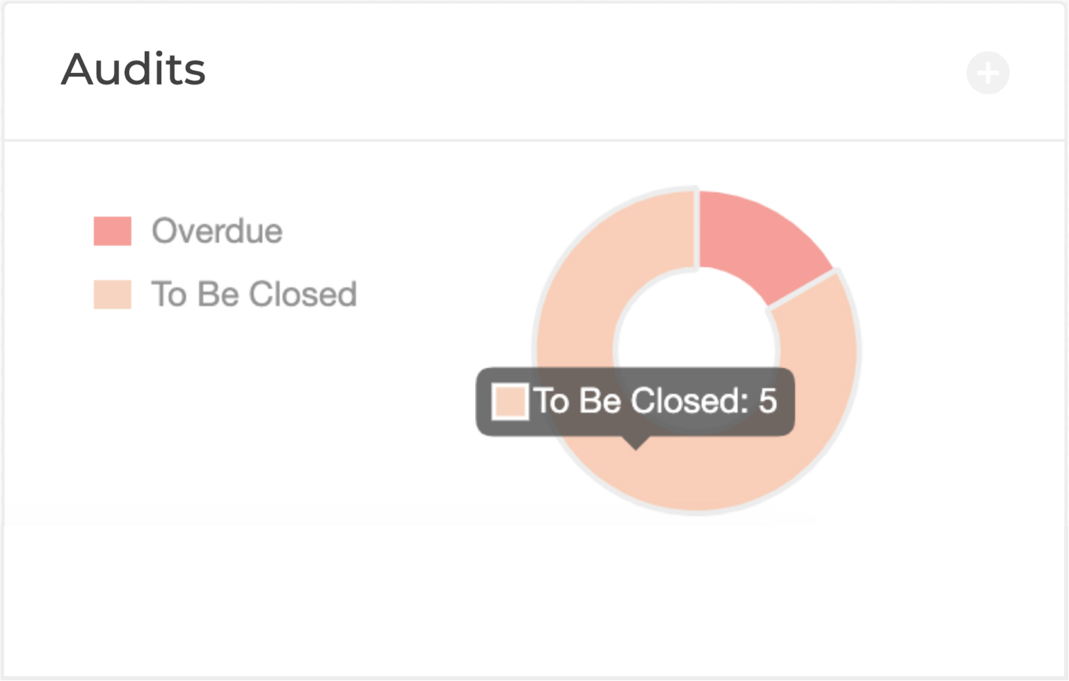 Audit Summary View